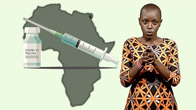 Covid-19 vaccine: When are African countries getting it?