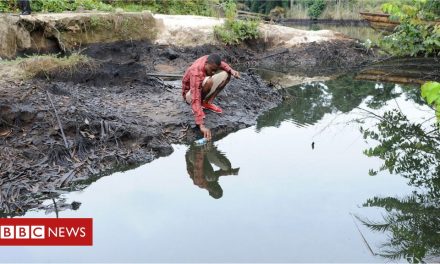 Court says Shell Nigeria responsible for Niger Delta oil spills