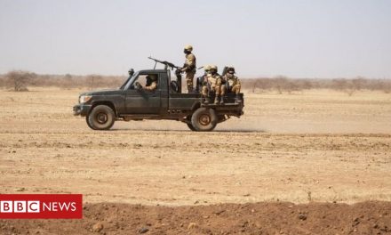 Around 30 reportedly killed in Burkina Faso village attack