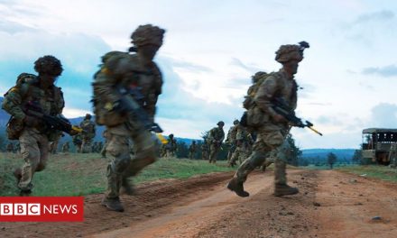 Kenyans sue the British army over fire at wildlife sanctuary