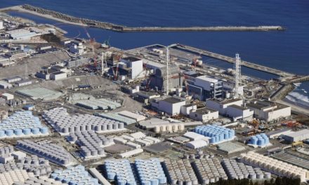 New Kishida administration faces divisions over future energy mix