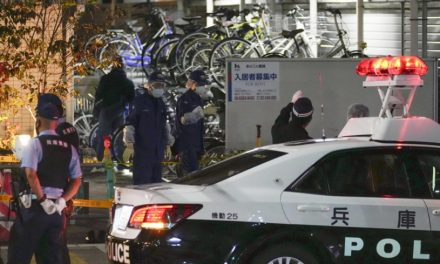 Suspect in deadly stabbing of Hyogo woman flees scene