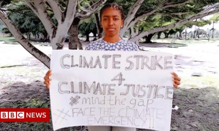 COP26: African climate activists’ message to world leaders