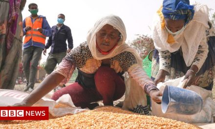 Ethiopia civil war: Doctors among those begging for food in Tigray