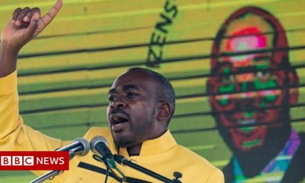 Zimbabwe by-elections: New party, same fears of dirty tricks