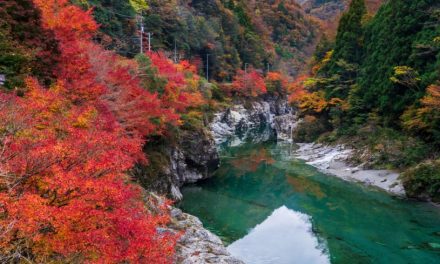 Isabella Bird: Revisiting her intrepid journeys trekking the wilds of Japan