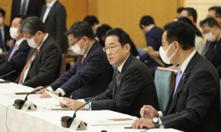 Kishida vows to step up work on package addressing soaring prices