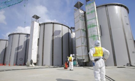 More data needed before ocean release of Fukushima water