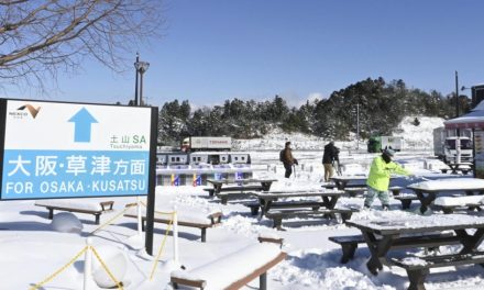 Traffic resumes on western Japan highway after snow disruption