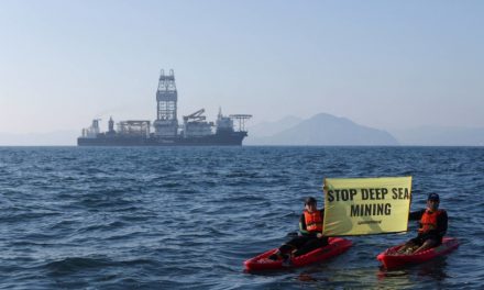 NGOs slam missed chance to prevent seabed mining