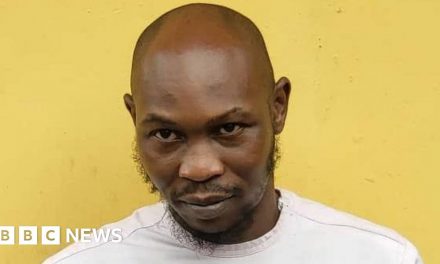 Seun Kuti: Nigerian Afrobeat musician arrested over 'police assault'