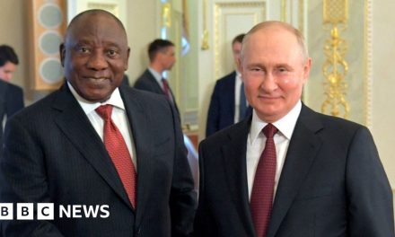 Putin will not attend Brics summit – South African presidency