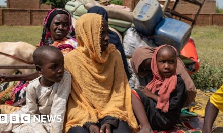 Sudan conflict: Thousands flee fresh ethnic killings in Darfur