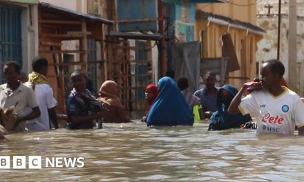 More than 600,000 displaced by floods in Somalia