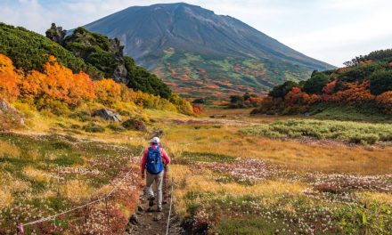 Small Hokkaido town ranked most comfortable place to live in Japan