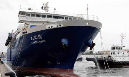 Japan shows first commercial fin whale catch in 48 years