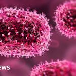 Morocco confirms first case in current outbreak