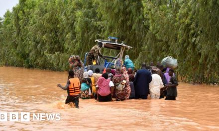 Niger floods delay new school year by almost a month